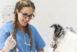 Animal Care Services Norco