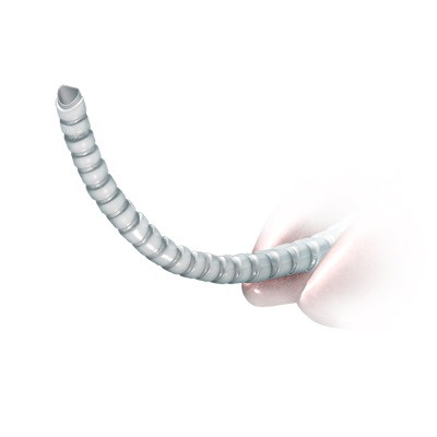 Collapsing Trachea- Norco Ca Veterinary Care